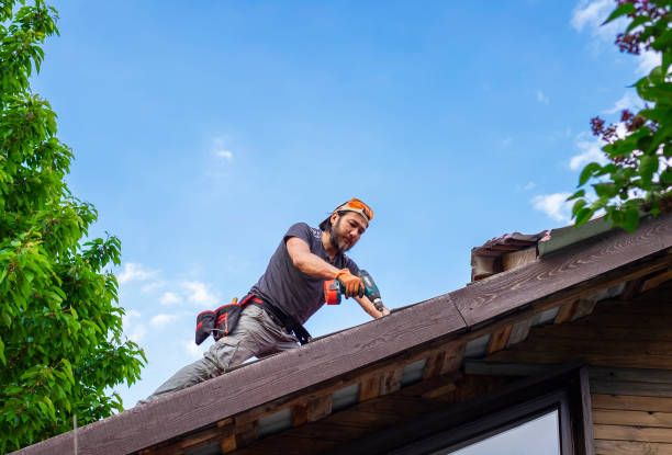 Best Asphalt Shingle Roofing  in Hollymead, VA