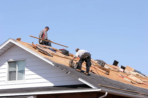 Best Commercial Roofing Services  in Hollymead, VA